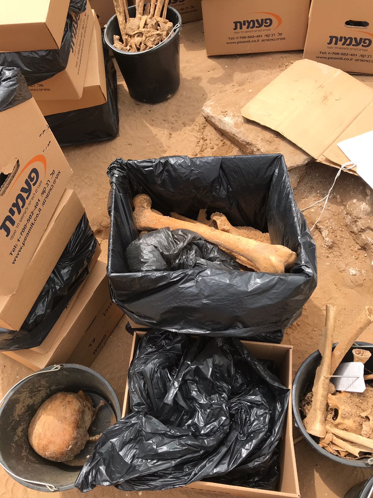 WhatsApp Image 2020-06-17 at 9.30.47 AM.jpeg.jpeg